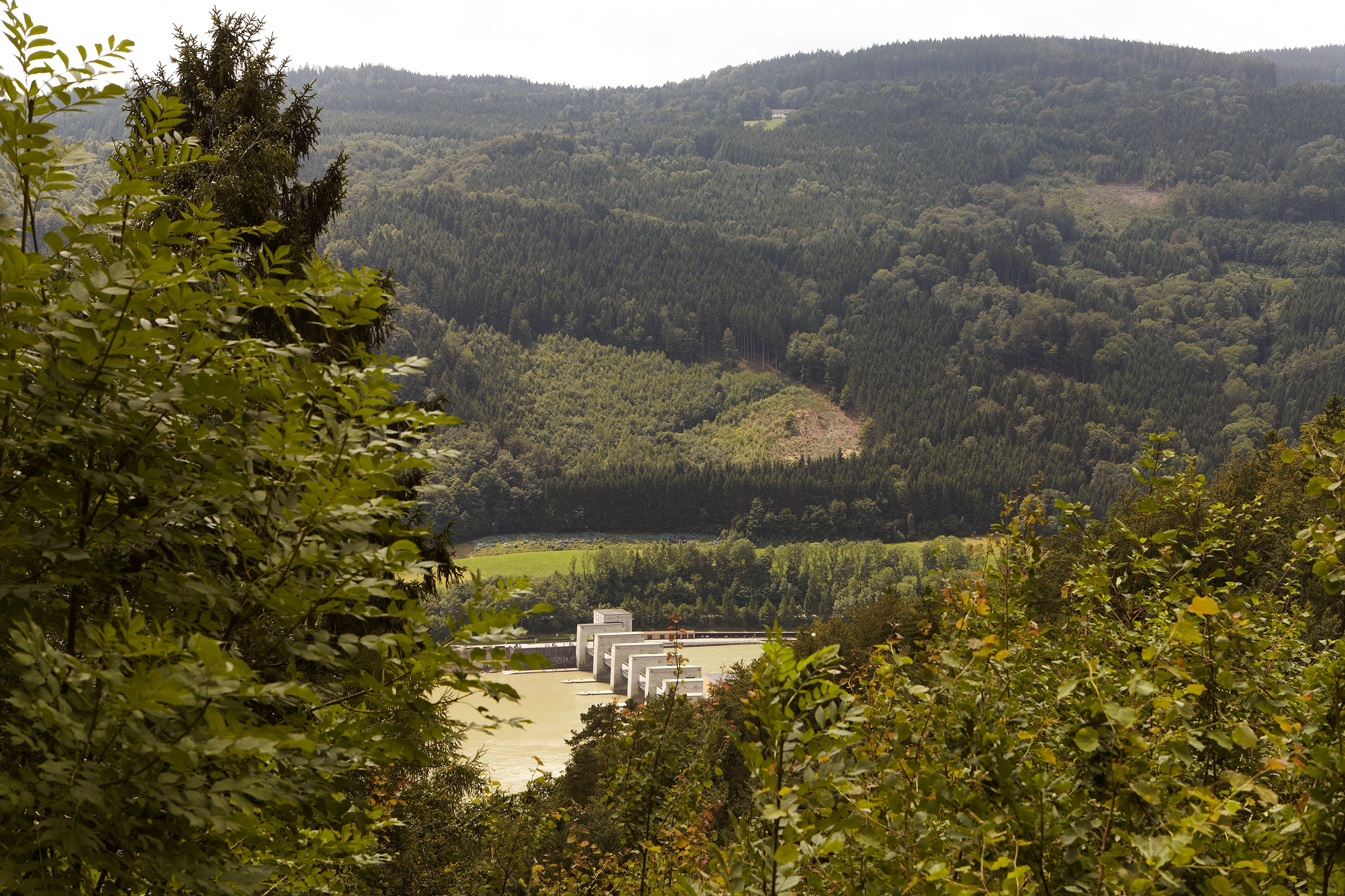 Ein Blick aus dem Wald heraus auf das Kraftwerk Jochenstein im Frühling. Besonderer Fokus liegt auf der natürlichen Umgebung.